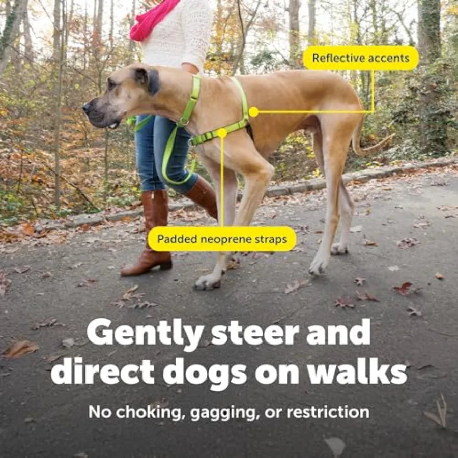 Easy Walk Deluxe No Pull Dog Harness for Leash Training