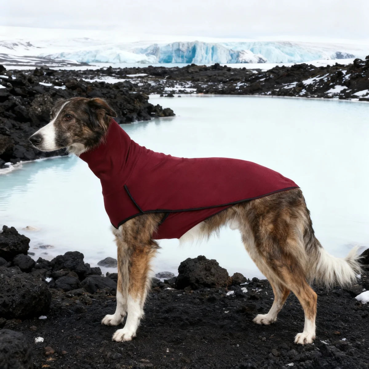 Dog Fleece Winter Coat Pajamas Turtleneck Stretch Greyhound Apparel