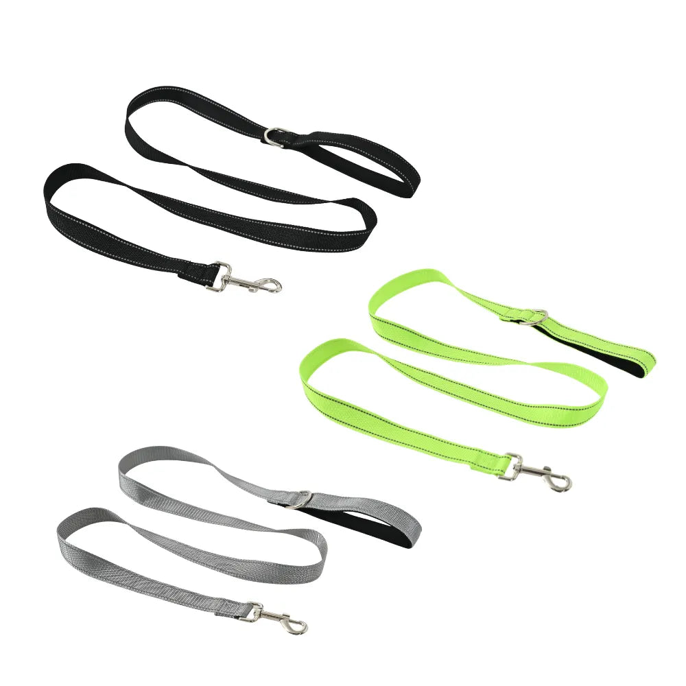 Reflective Nylon Dog Leash with Padded Handle and Metal Clip