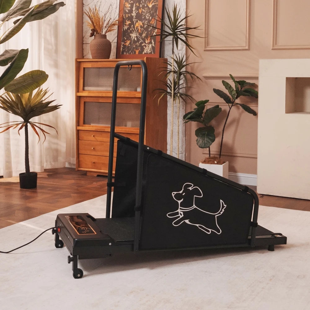Indoor Electric Dog Treadmill For Pet Walking And Exercise