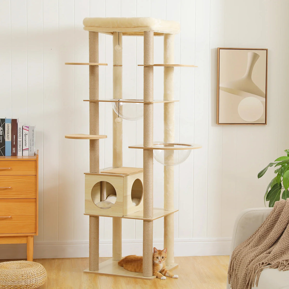 PAWZ Ro Multi-Level Indoor Cat Tree With Condo And Hammock