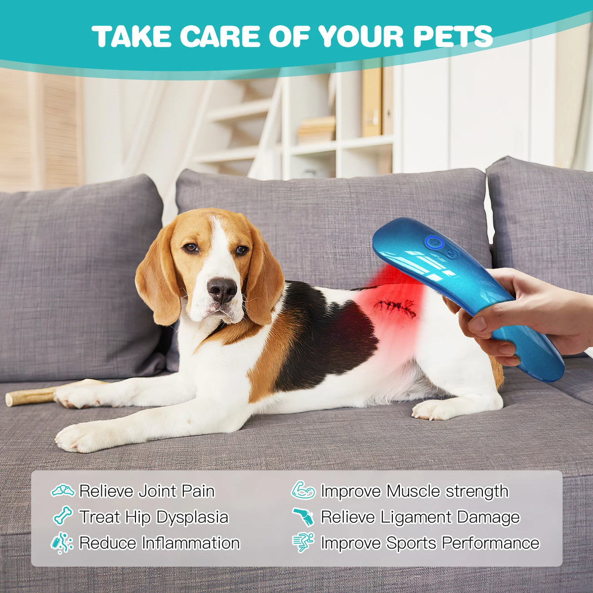 Pet Red Light Therapy Cold Laser Pain Relief Device For Dogs And Cats