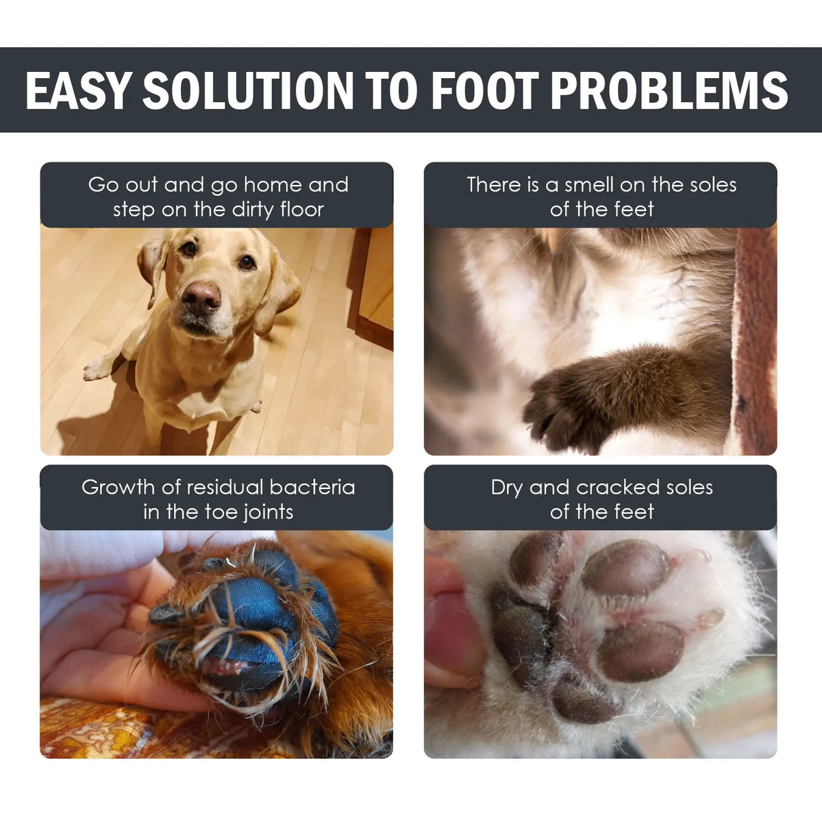 Waterless Pet Paw Cleaner Foam No Rinse Dog Cat Paw Cleanser with Brush Head Pet Foot Paw Care Cleaning Foam for Dogs and Cats