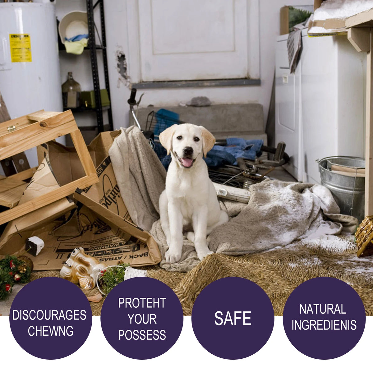Pet Anti-Chew Bitter Spray, Dog Behavior Training Deterrent Spray, Stop Biting Chewing Scratching, Protect Furniture Shoes Household Items