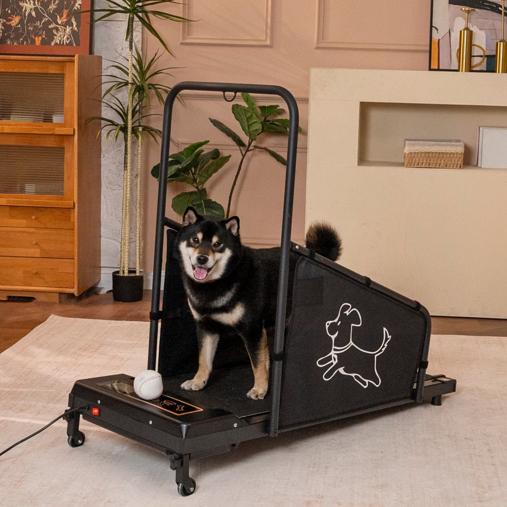 Indoor Electric Dog Treadmill For Pet Walking And Exercise