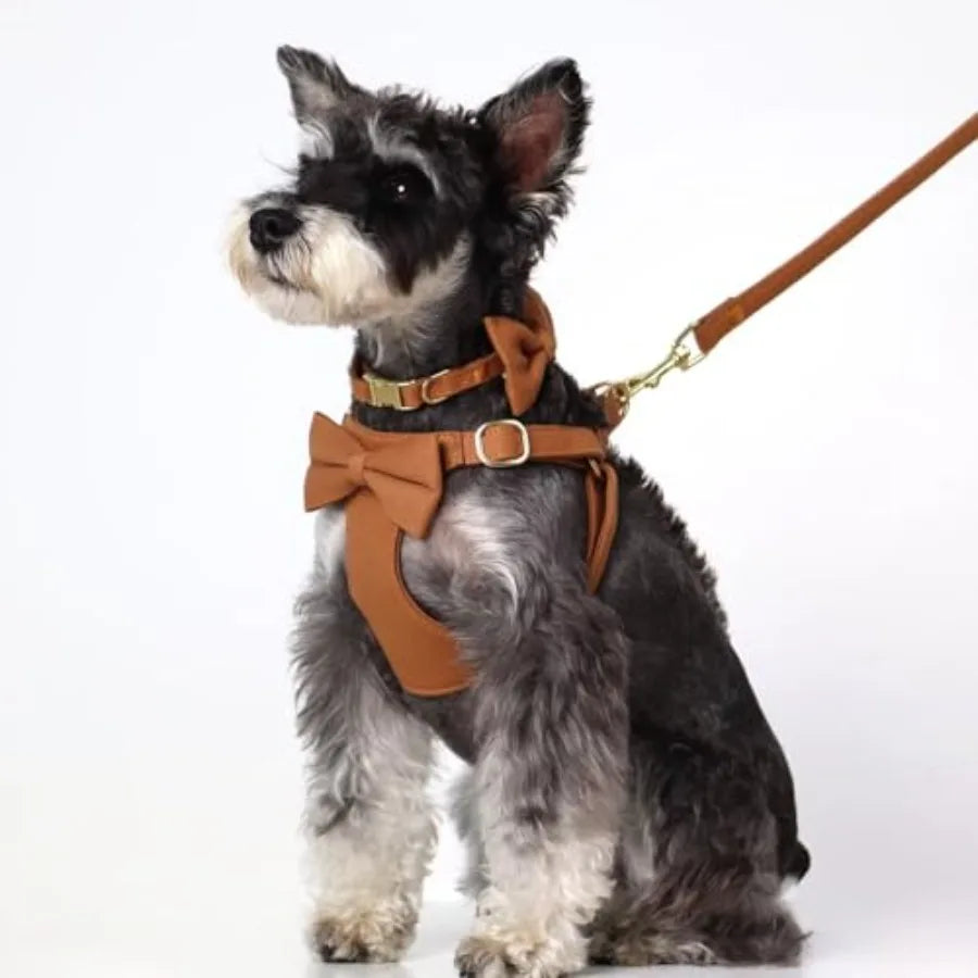Adjustable Step In Dog Harness Collar And Leash Set