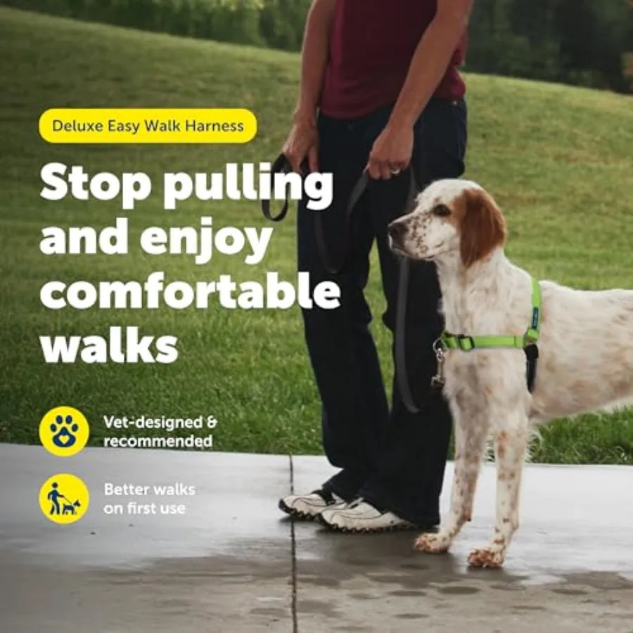 Easy Walk Deluxe No Pull Dog Harness for Leash Training