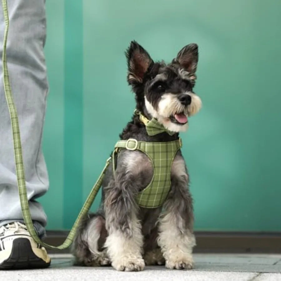 Adjustable Dog Harness Collar And Leash Set With Bowtie