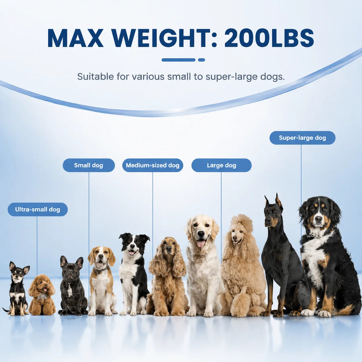 Vancen Inflatable Dog Ramp Lightweight Pet Water Accessory