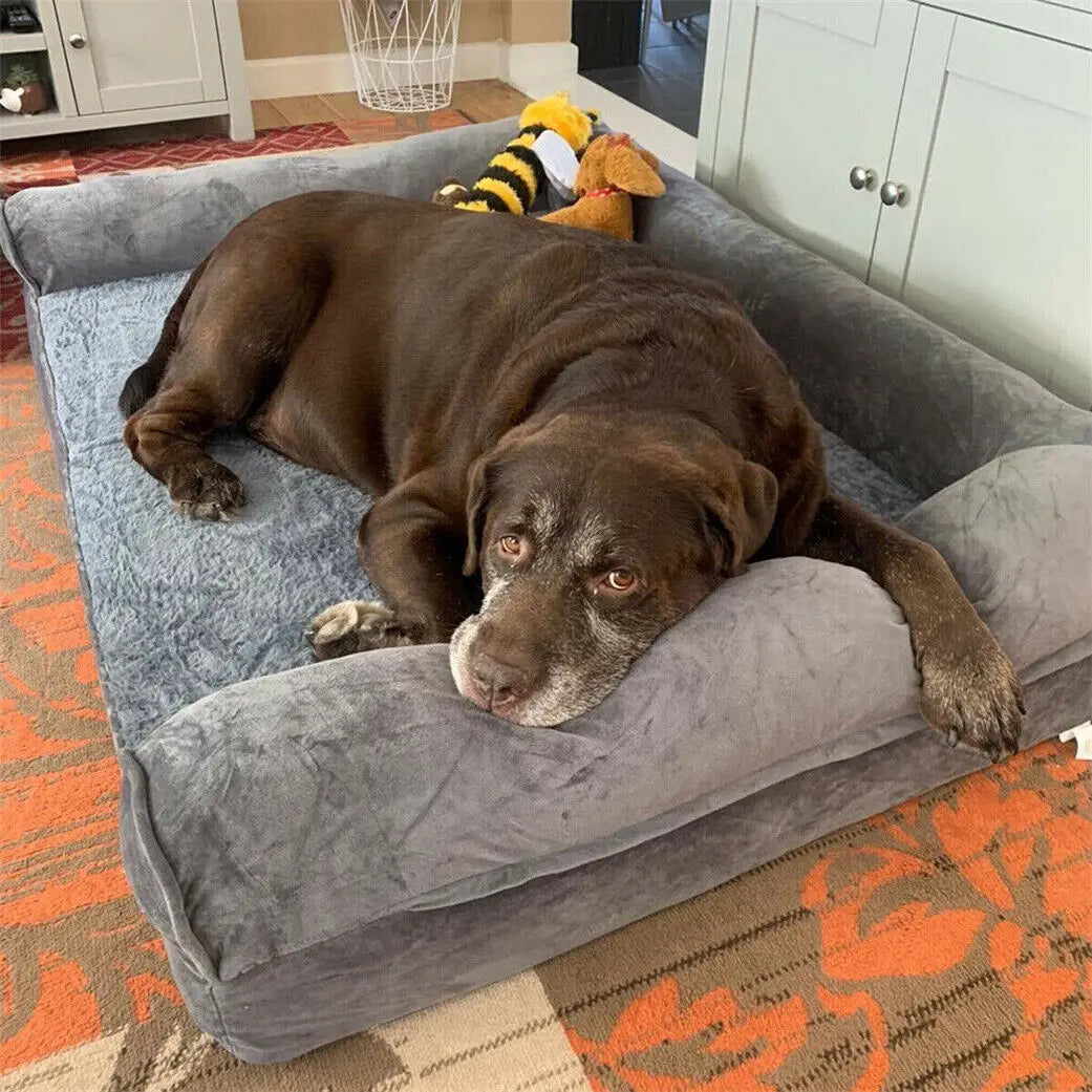Bingopaw Orthopedic Pet Dog Bed With Removable Washable Cover