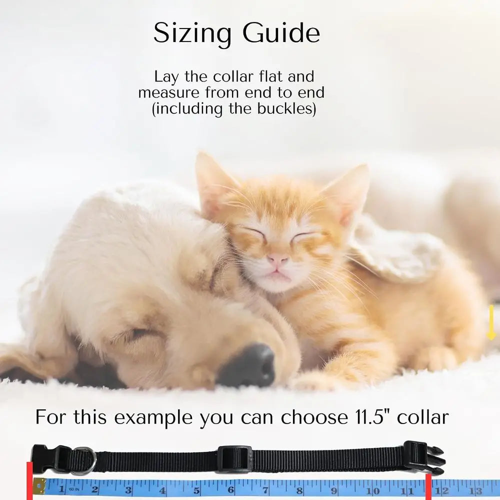 Handcrafted Beaded Silicone Pet Collar With D Ring Attachment