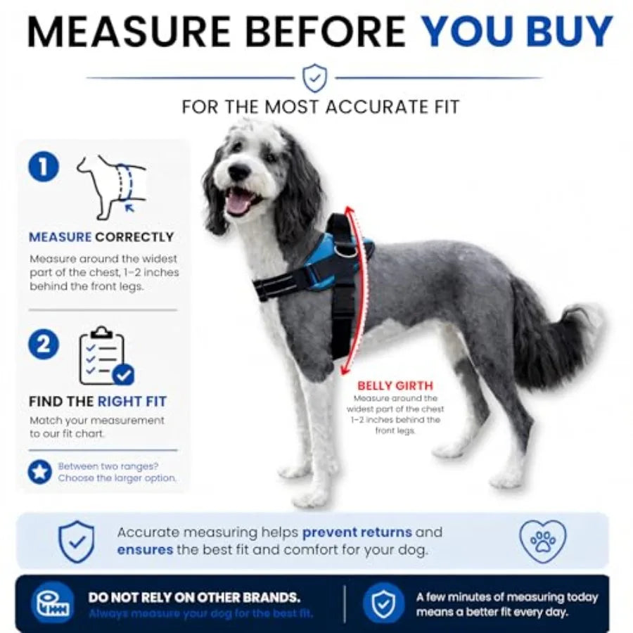 Essential No Pull Dog Harness Vest With Three Leash Clips, Reflective and Padded