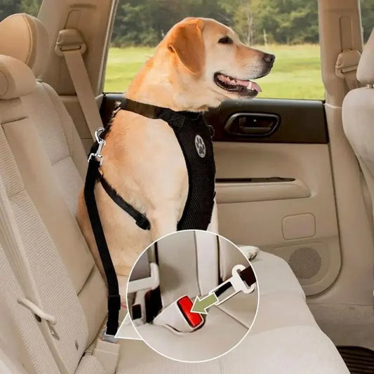 Adjustable Dog Vehicle Seatbelt Harness With Breathable Mesh Design
