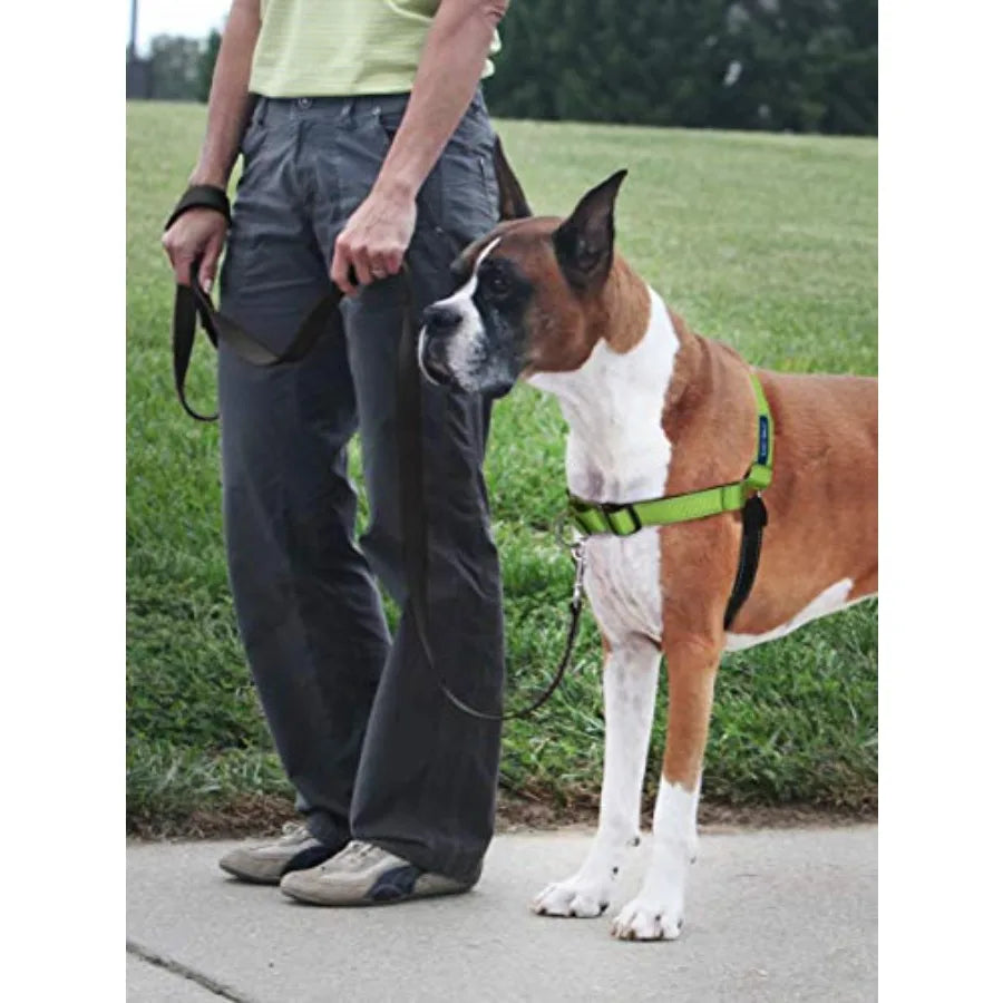 Easy Walk Deluxe No Pull Dog Harness for Leash Training