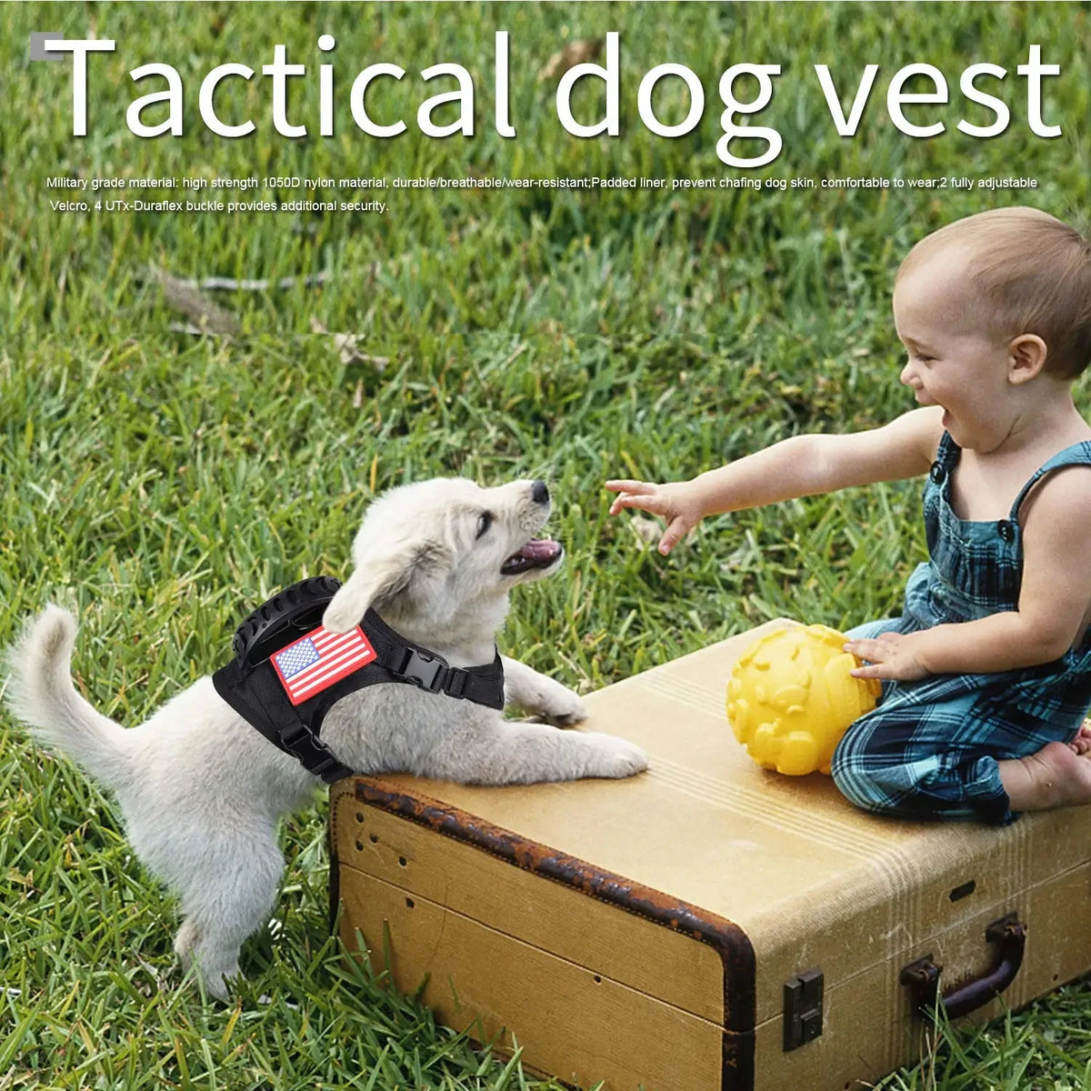 Petavel Tactical Dog Harness And Adjustable Leash Set For Small Dogs