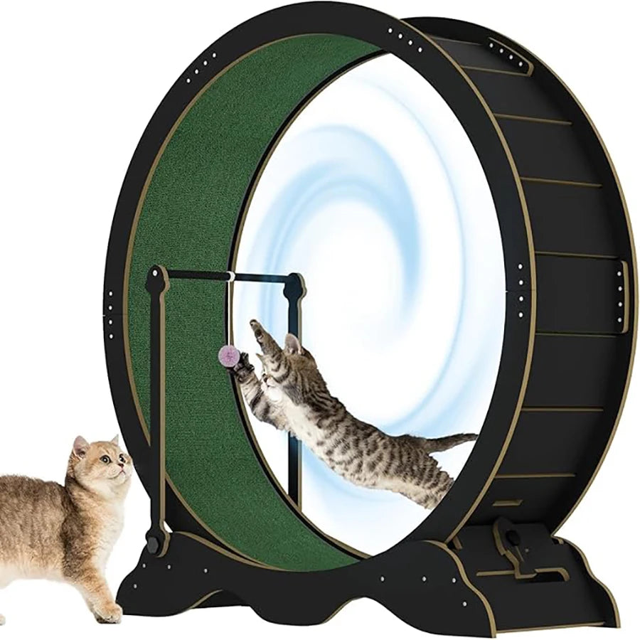 Cat Exercise Wheel, 45-Inch Large Cat Treadmill for Indoor Cats, Cats Running Wheel with Detachable Carpeted Runway for Pets
