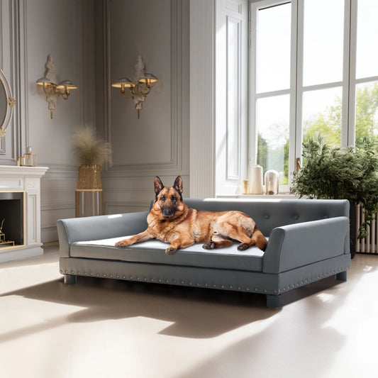BINGOPAW Premium Elevated Rectangular Dog Sofa And Pet Couch