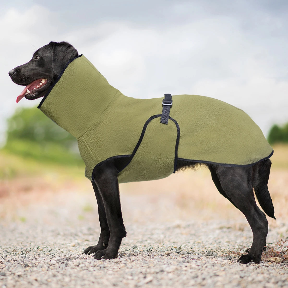 Warm Fleece Dog Coat for Whippets Greyhounds and Lurchers