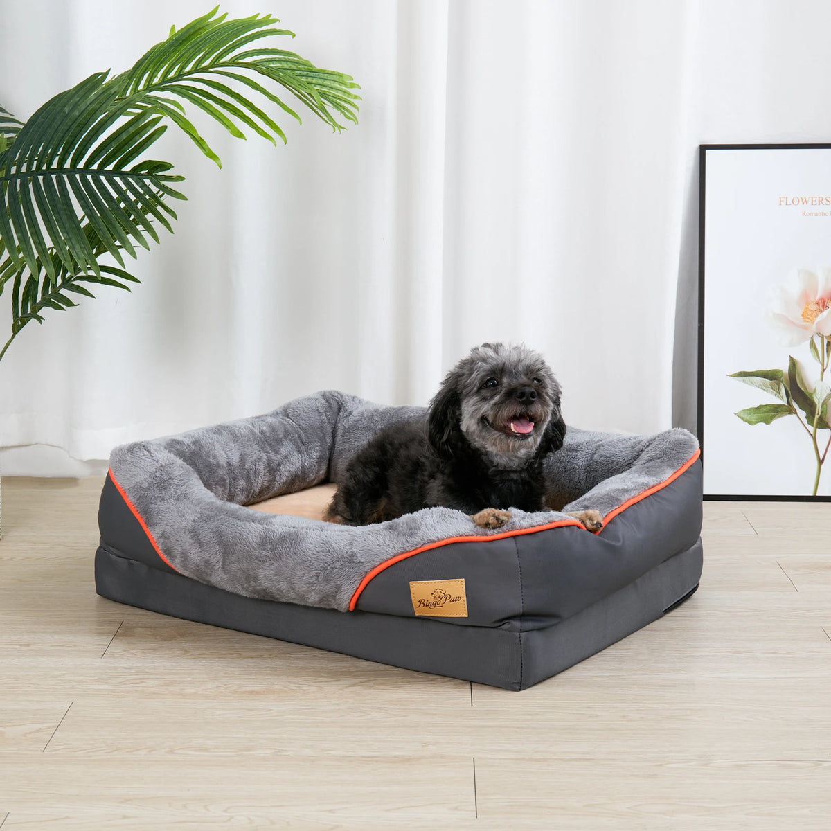 Bingopaw Orthopedic Dog Bed With Removable Cover