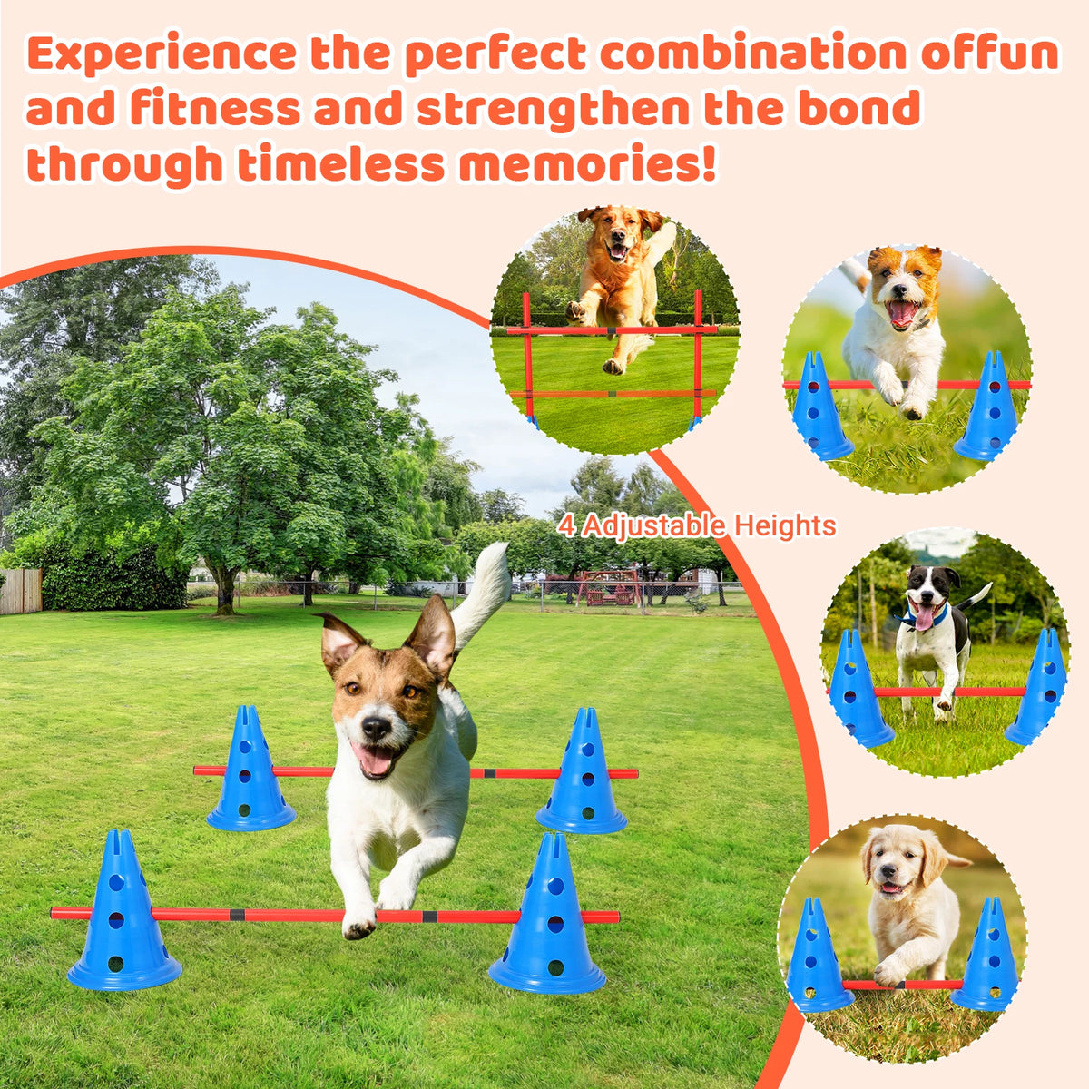 Dog Agility Hurdle Cone Set — 12 Cones & 6 Rods, Adjustable Height, Adjustable 4-Level Heights for Beginner to Advanced Jumpers, Includes 12 Cones & 6 Rods in a Carry Bag, Use Indoors & Outdoors