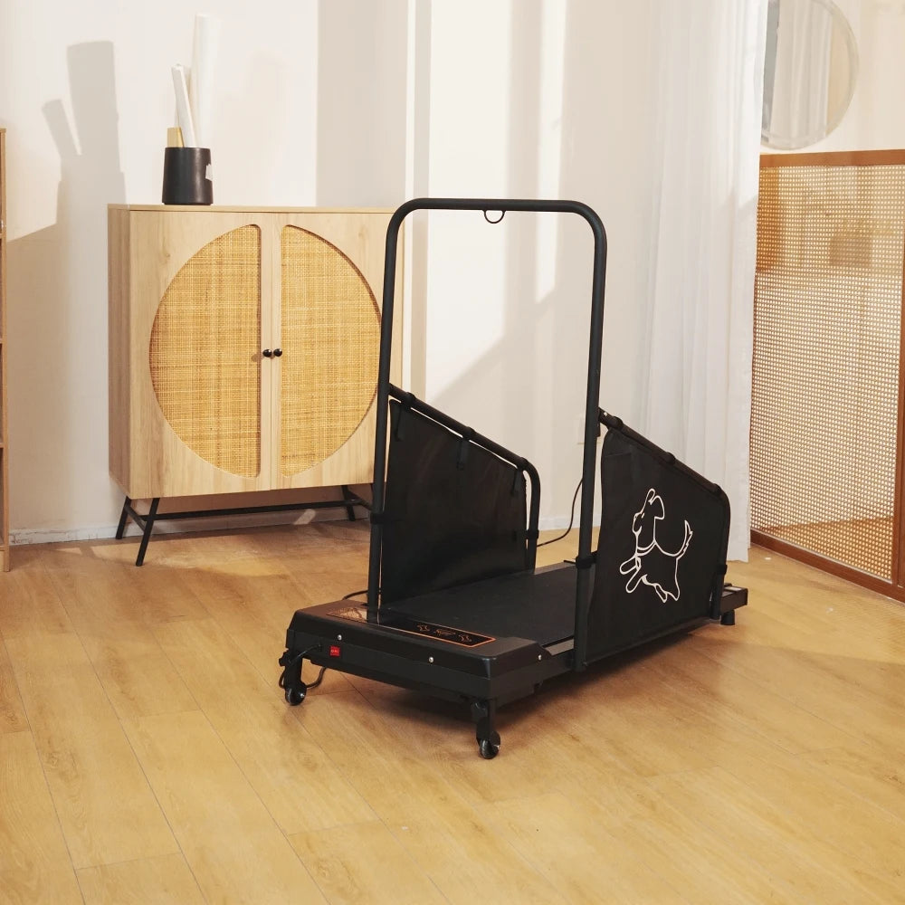 Indoor Electric Dog Treadmill For Pet Walking And Exercise