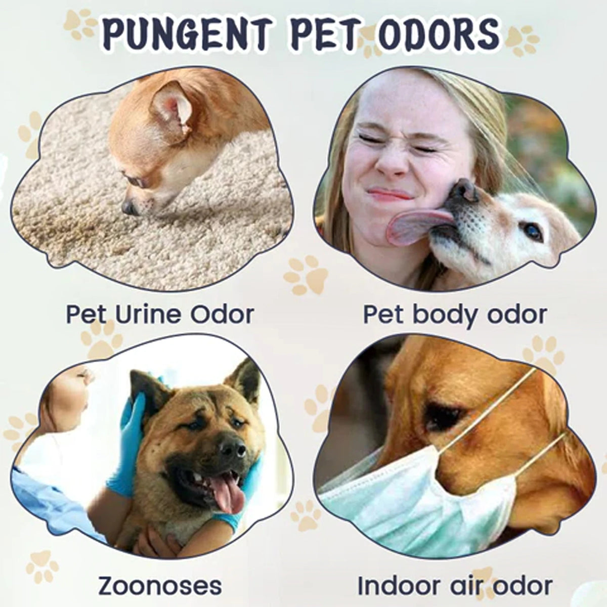 Pet Deodorizing Spray For Cats And Dogs, Remove Urine Feces Body Odor, Plant Extract Formula, Freshen Indoor Air
