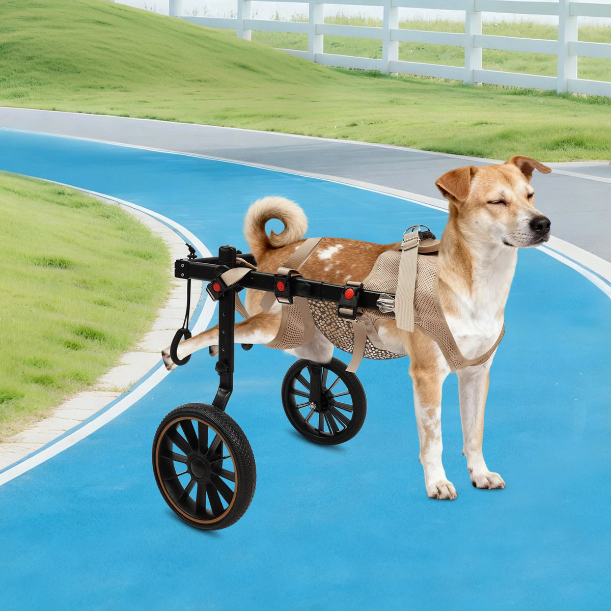 Pet Walking Aid Pet Rehabilitation Walking Aid Multi-Scenario Usage 2-Wheel Dog Wheelchairs for Back Legs/Senior Dogs 65kg Load