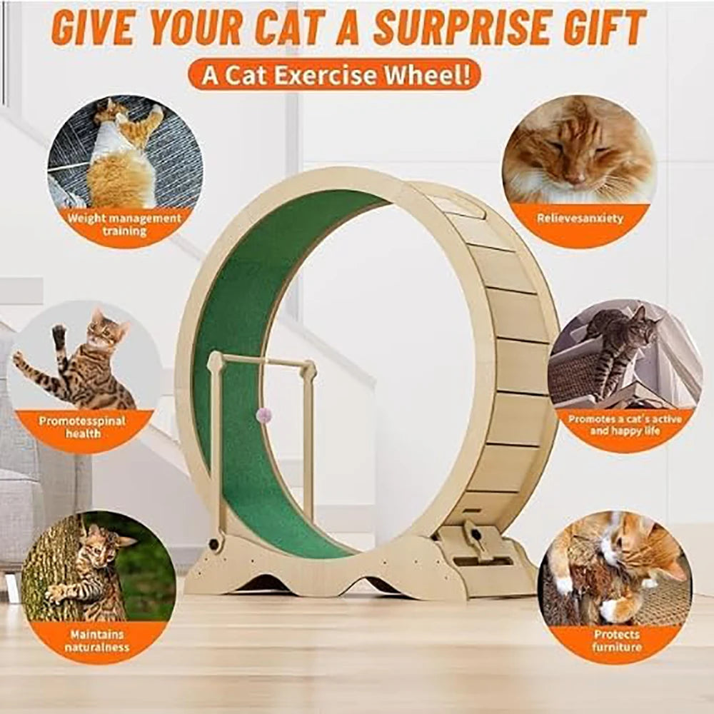Cat Exercise Wheel, 45-Inch Large Cat Treadmill for Indoor Cats, Cats Running Wheel with Detachable Carpeted Runway for Pets