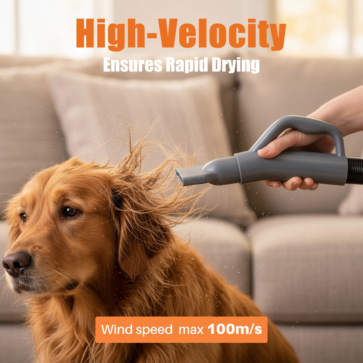 Professional Low Noise Pet Grooming Vacuum Dryer Kit