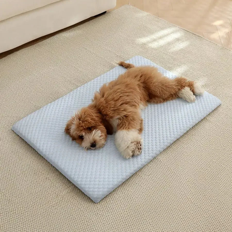 Breathable Cooling Cat Bed With Thick Comfortable Padding
