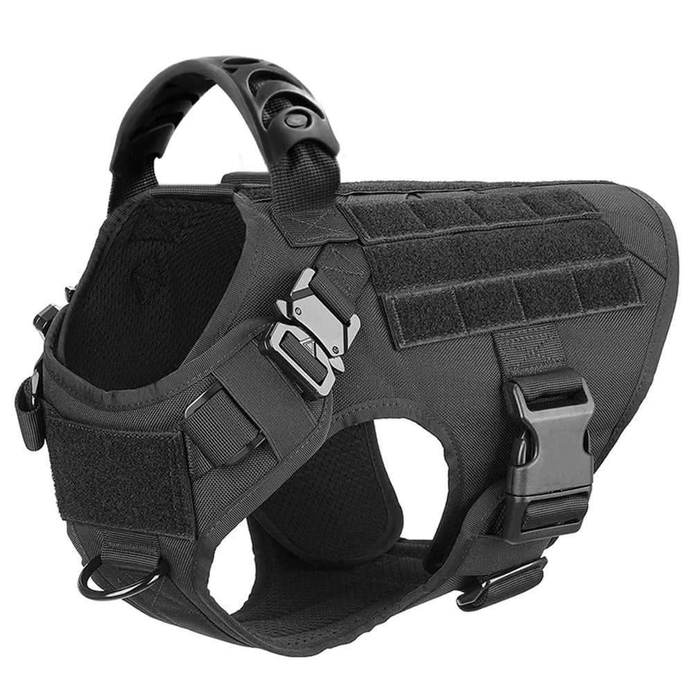 Petavel Padded Nylon Dog Harness And Leash Set Quick Release