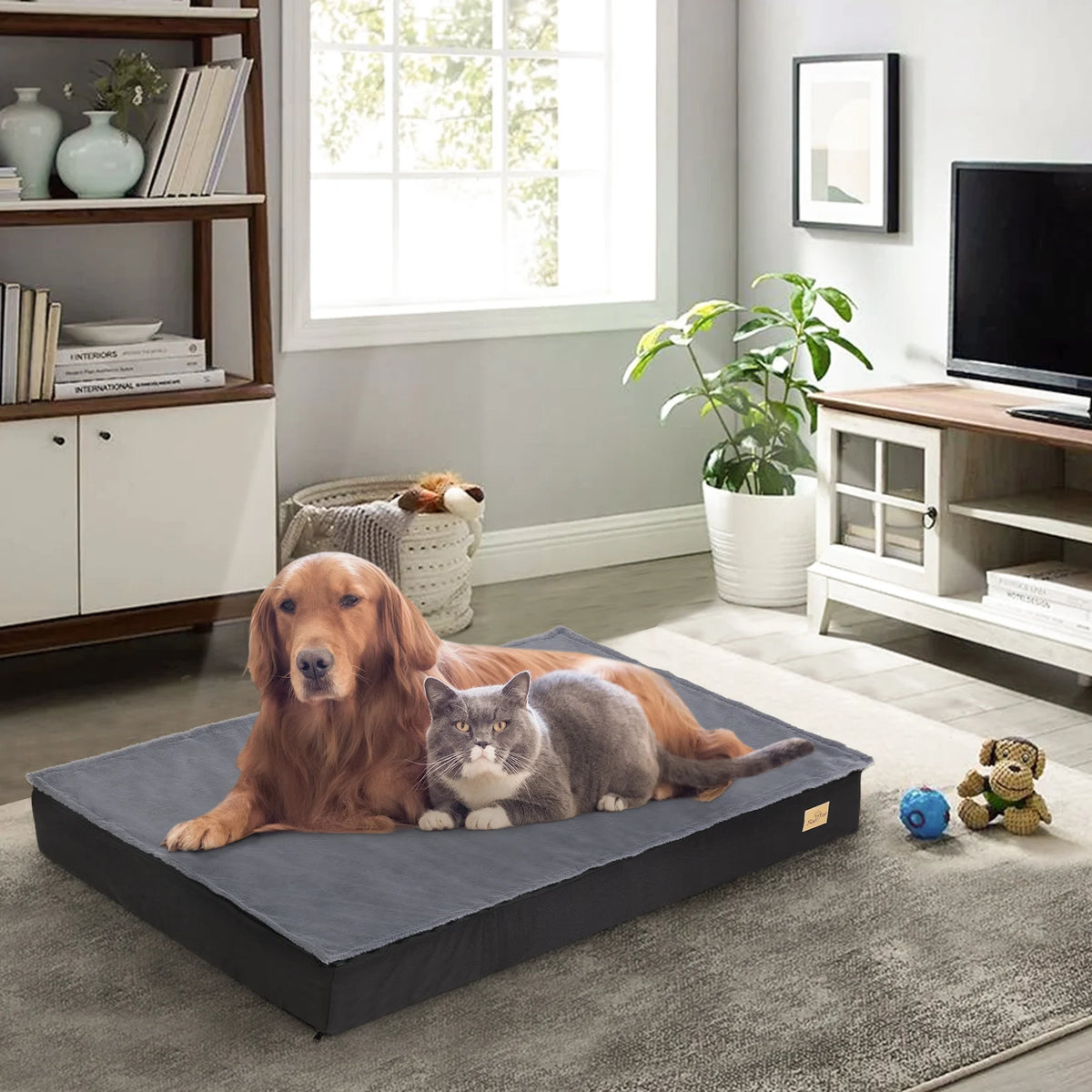 Bingopaw Washable Orthopedic Dog Bed With Removable Sponge Foam Cover