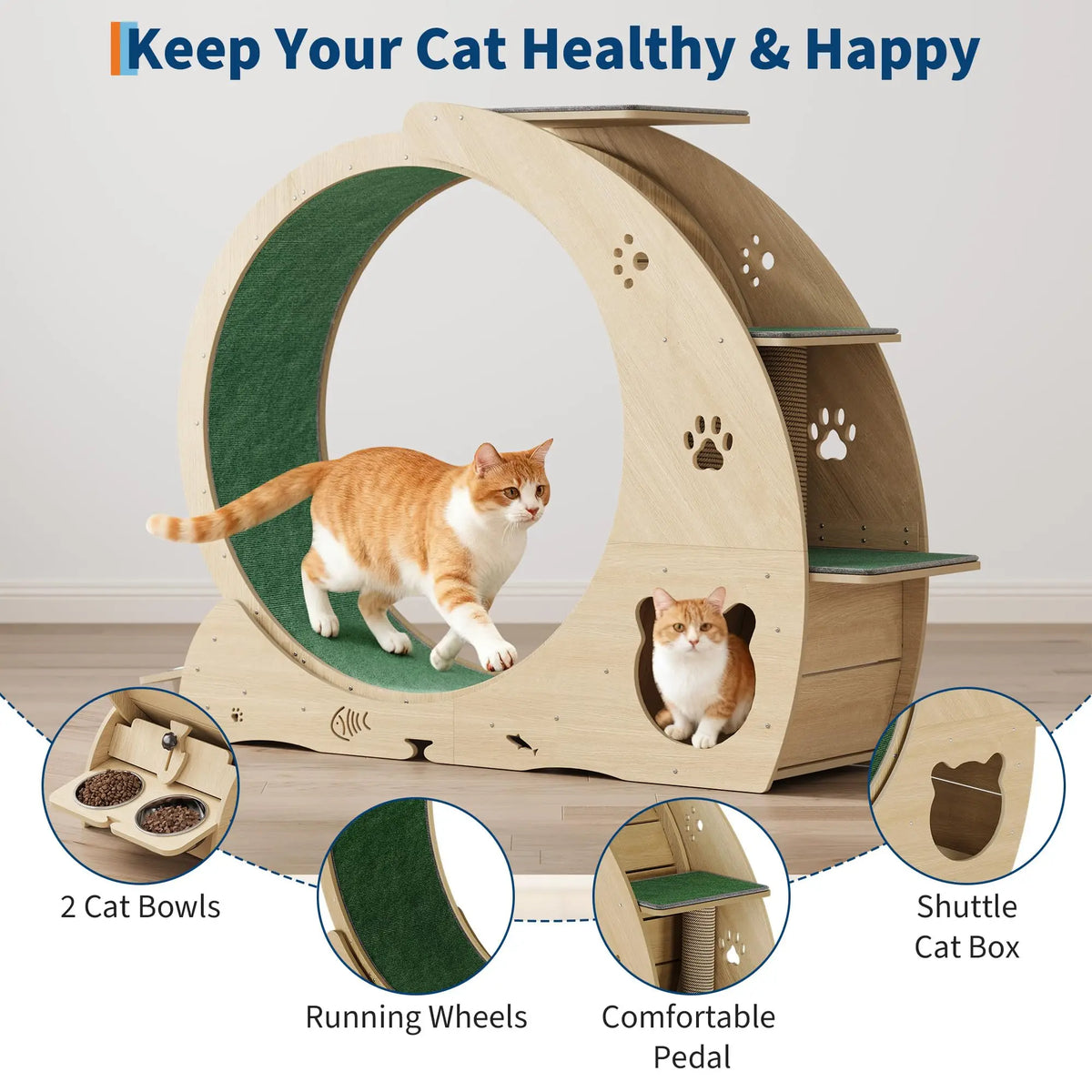 HiMISS Multifunctional Cat Exercise Wheel With Bowls And Scratch Post