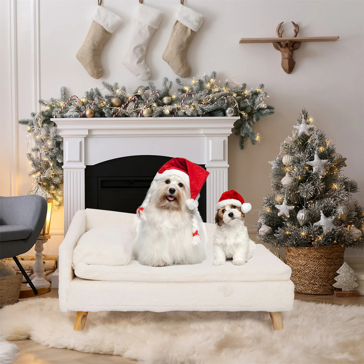 Bingopaw Elevated Dog Bed With Waterproof Cotton Cushion