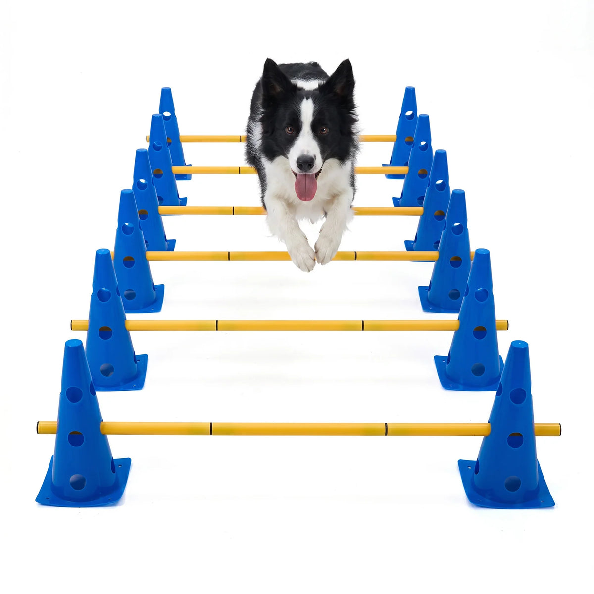 Dog Agility Training Set With Adjustable Hurdles And Cones