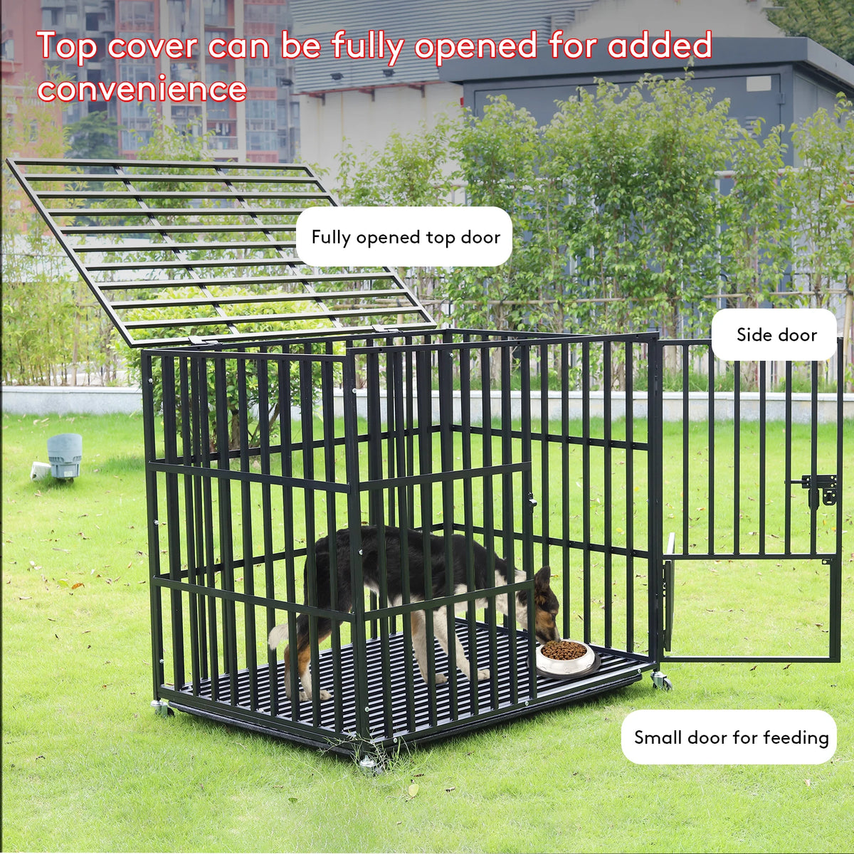 Bingopaw Heavy Duty Metal Dog Crate With Three Doors
