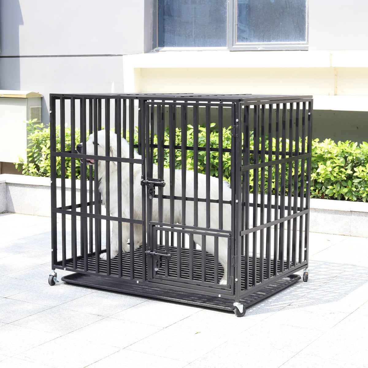 Borwart Heavy Duty Dog Crate With Chew Resistant Square Tube