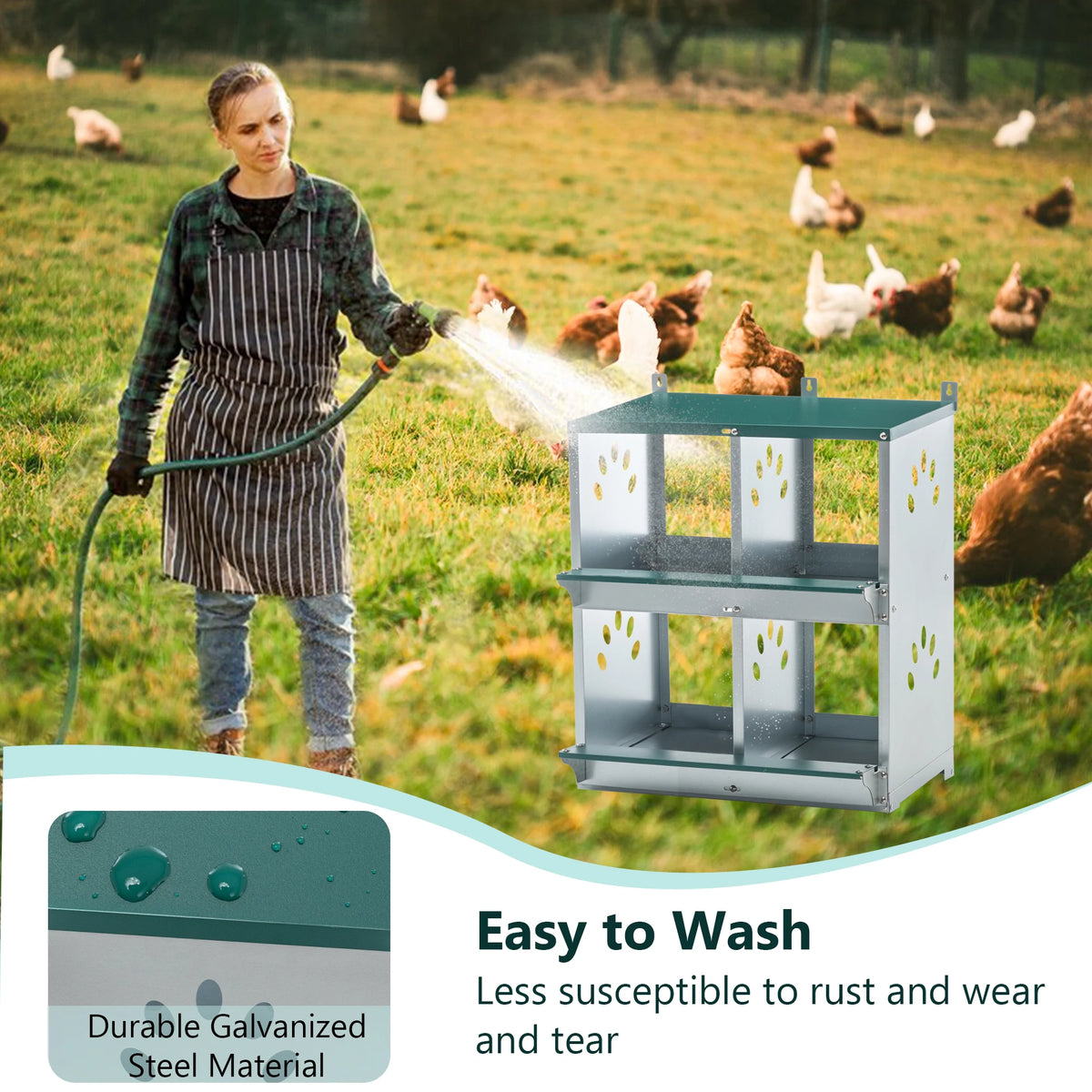Heavy Duty Wall Mount Chicken Nesting Box For Backyard Hens