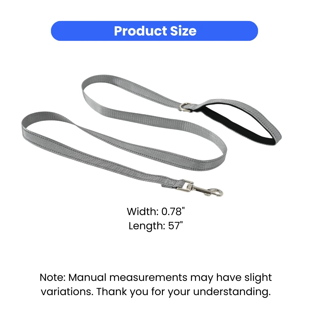 Reflective Nylon Dog Leash with Padded Handle and Metal Clip