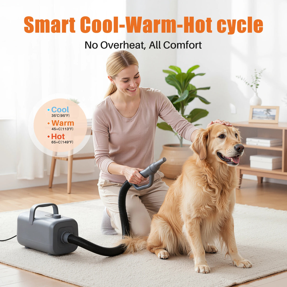Professional Low Noise Pet Grooming Vacuum Dryer Kit