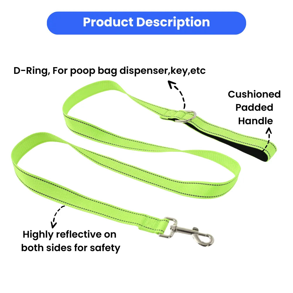 Reflective Nylon Dog Leash with Padded Handle and Metal Clip