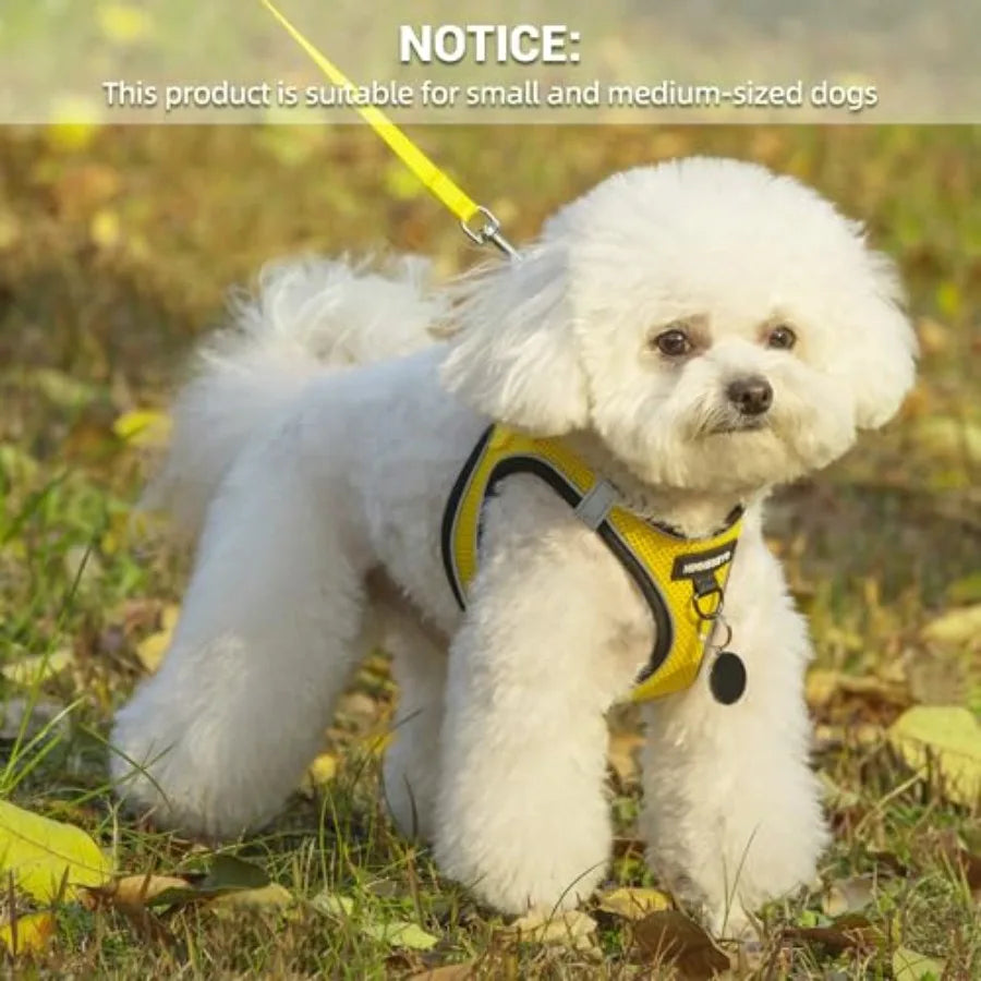Dog Harness and Leash Set, Dog Harness for Dogs No Pull, No-Chock Step-in Reflective Breathable Lightweight Easy Walk Vest Harn