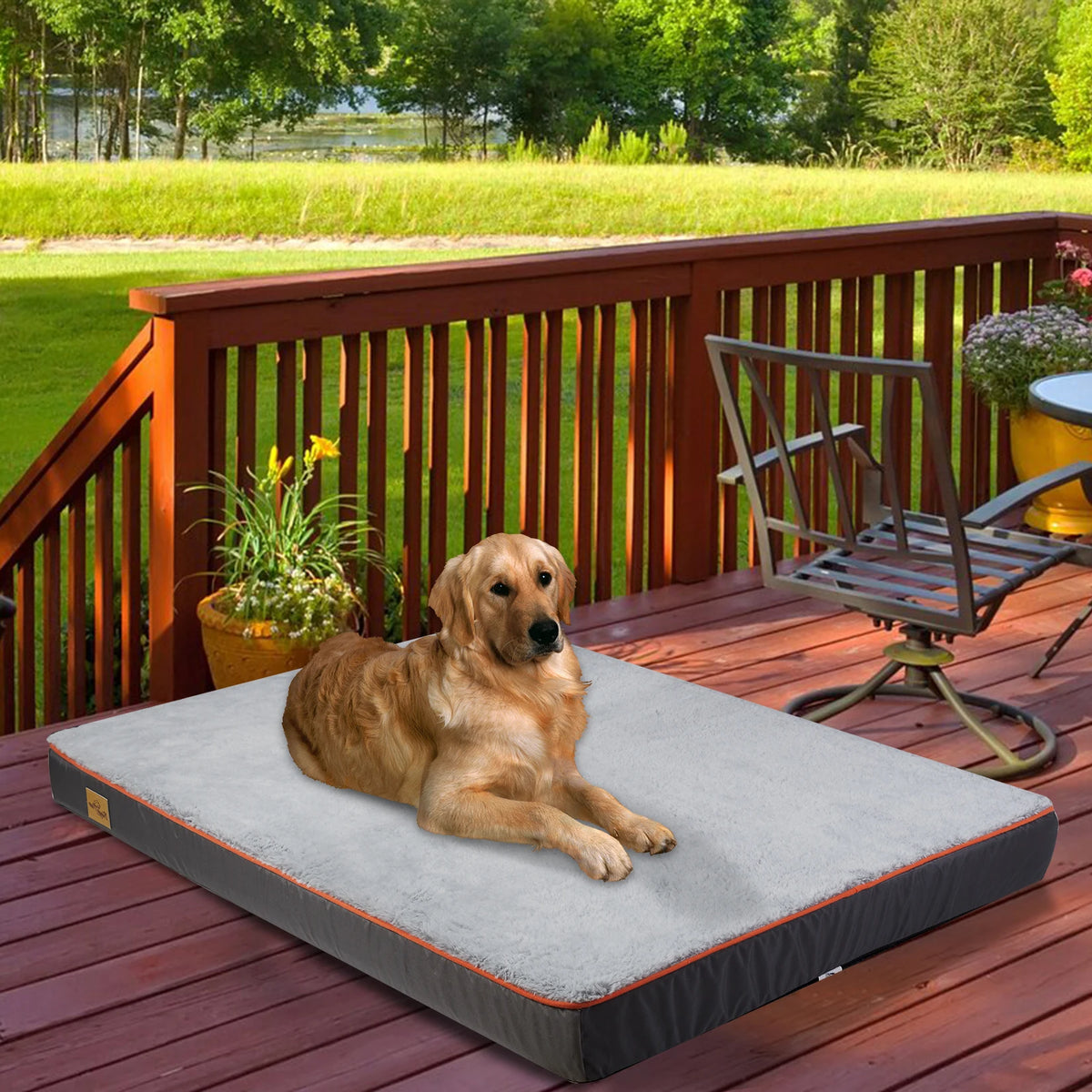 Bingopaw Orthopedic Dog Bed With Foam Cushion And Washable Cover