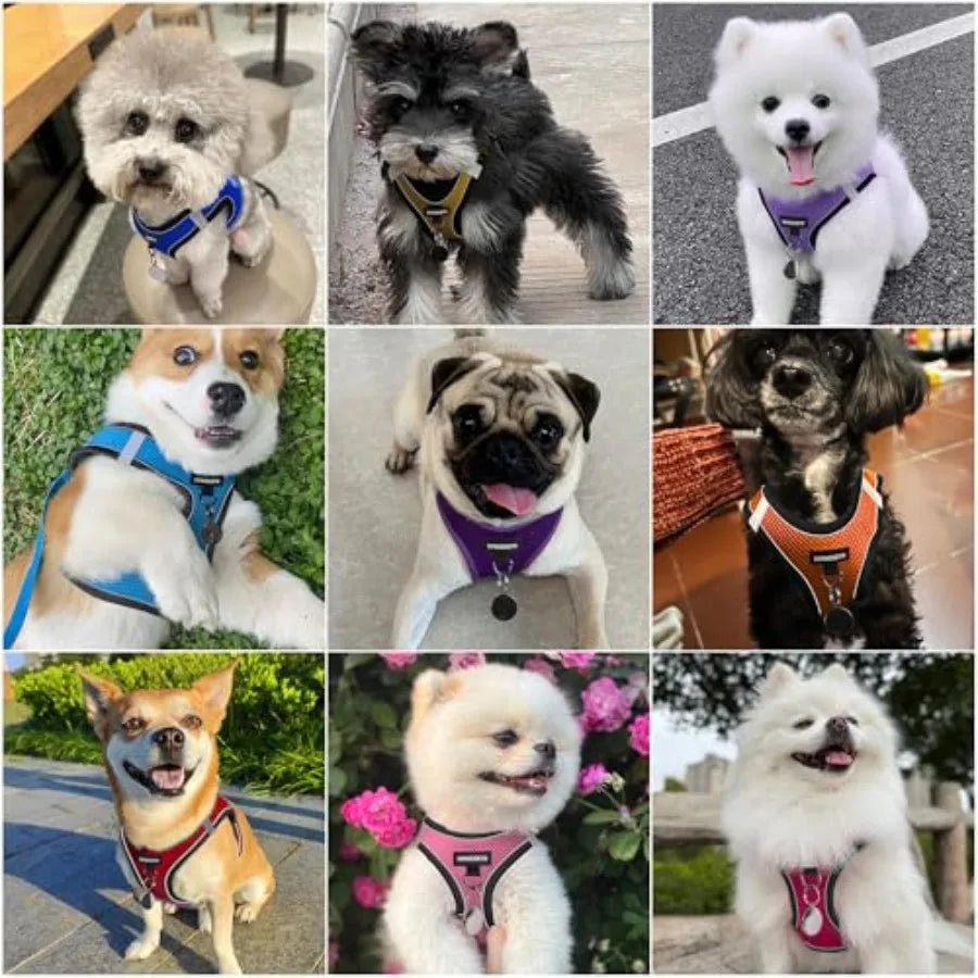 Dog Harness and Leash Set, Dog Harness for Dogs No Pull, No-Chock Step-in Reflective Breathable Lightweight Easy Walk Vest Harn