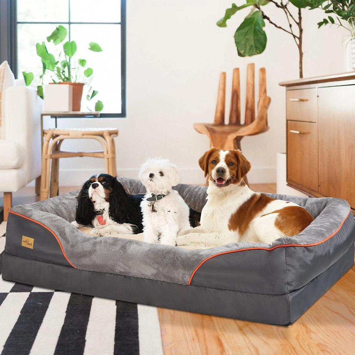 Bingopaw Orthopedic Dog Bed With Removable Cover