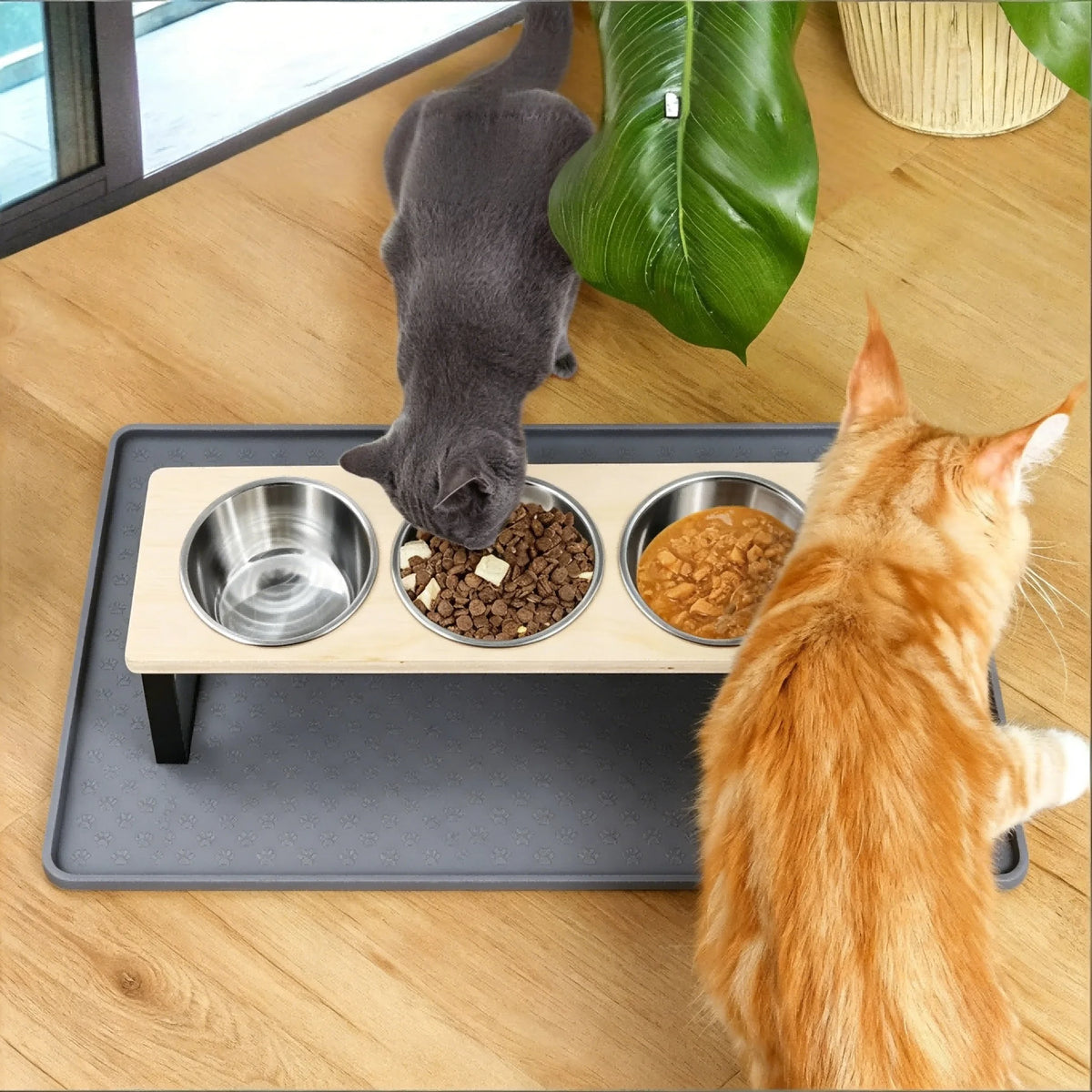 Premium Elevated Stainless Steel Pet Feeder Bowl Set