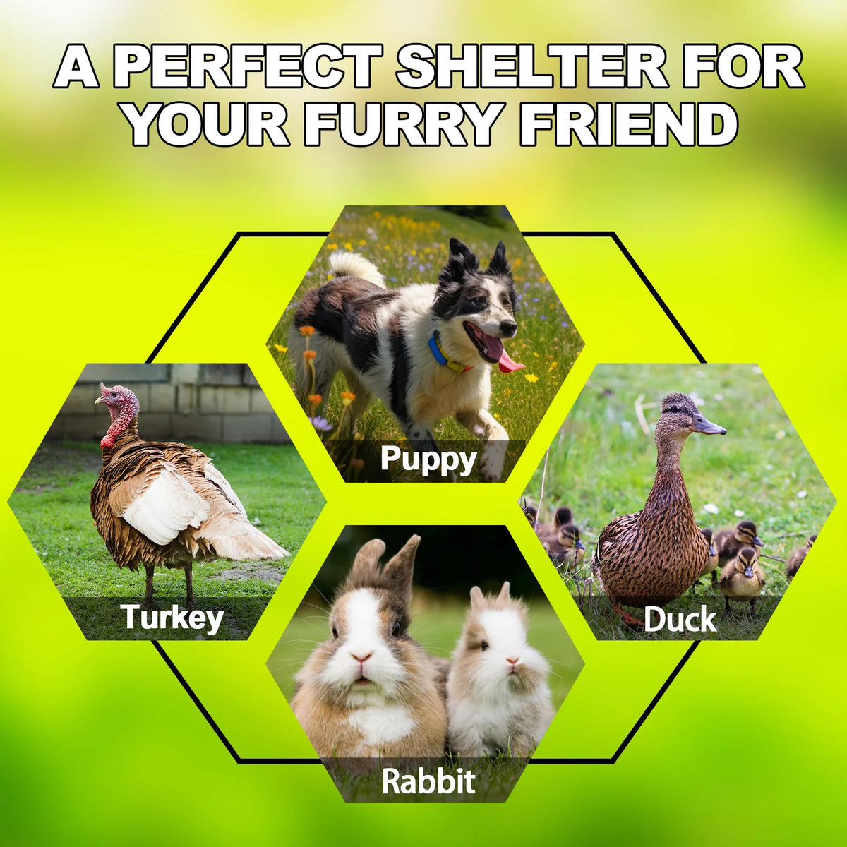 Large Outdoor Dog Kennel 200×200×150cm With Roof Heavy Duty Metal Dog Cage House Waterproof Sun Protection Pet Playpen for Backyard