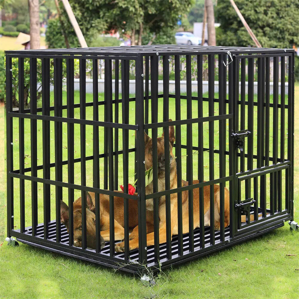 Bingopaw Heavy Duty Metal Dog Crate With Three Doors