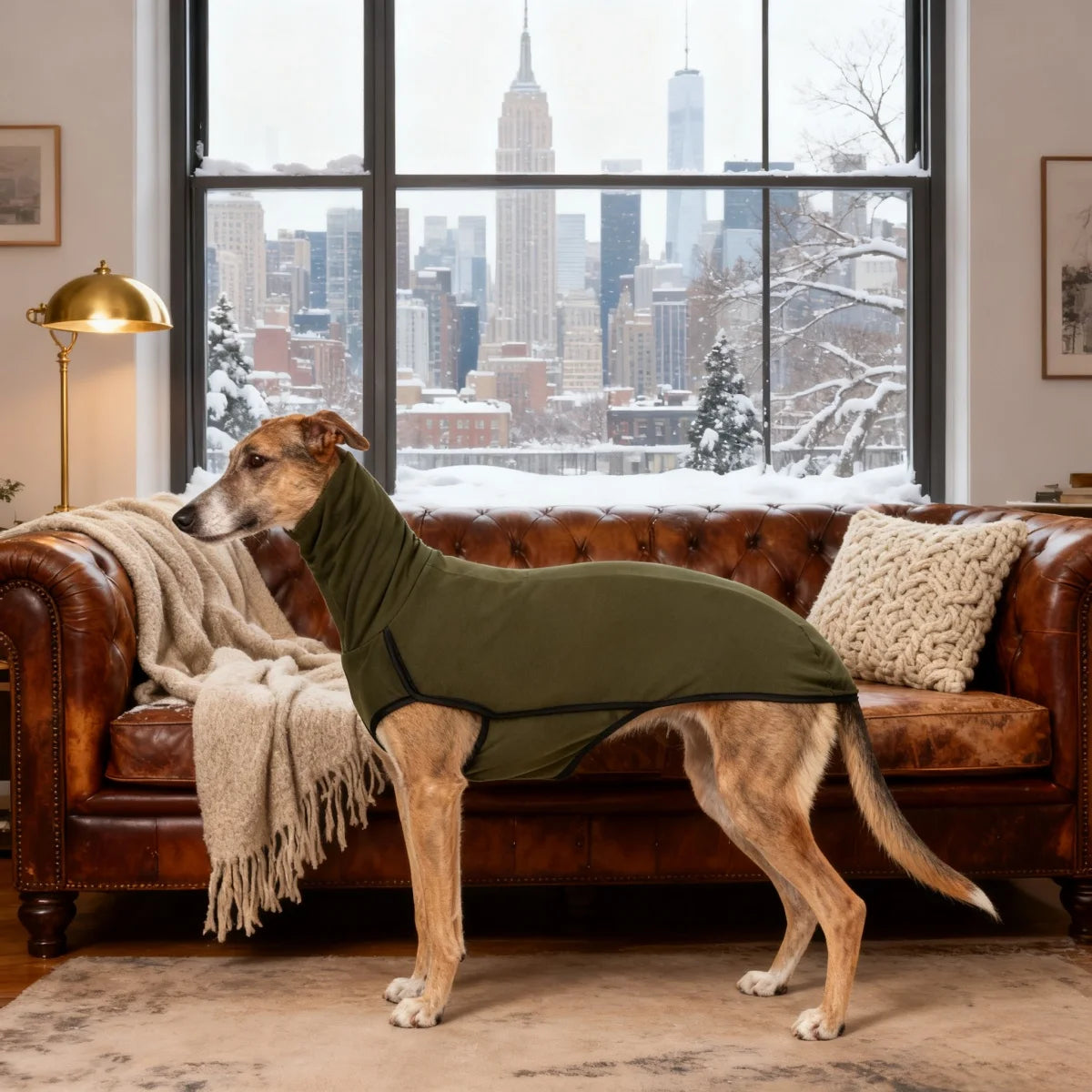 Dog Fleece Winter Coat Pajamas Turtleneck Stretch Greyhound Apparel
