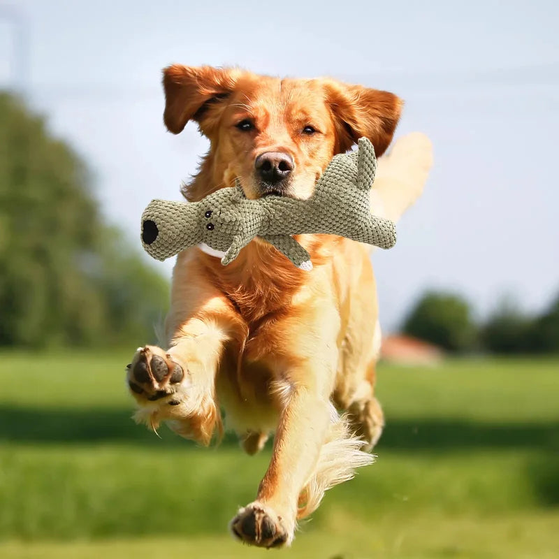 Durable Squeaky Dog Chew Toy For Aggressive Chewers Interactive